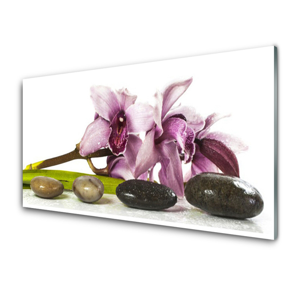 Obraz Szklany Kwiat Kamienie Roślina