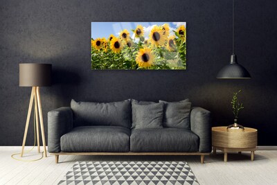 Obraz Szklany Słonecznik Kwiat Roślina