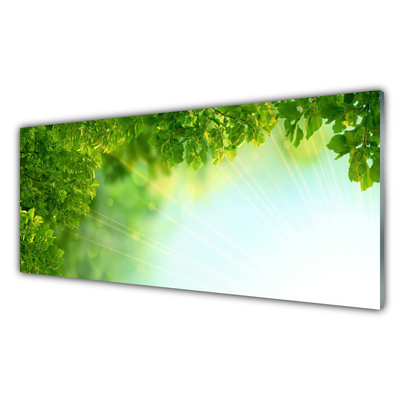 Obraz Szklany Liście Przyroda Roślina