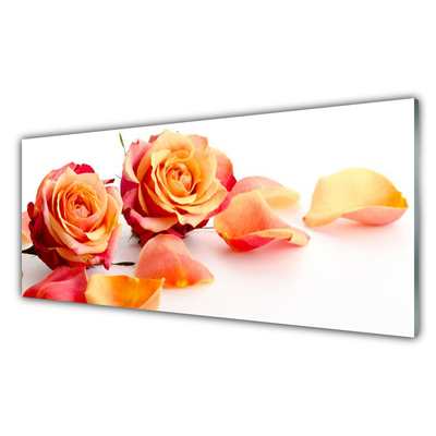 Obraz Szklany Róże Kwiaty Roślina