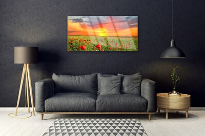 Obraz Szklany Maki Słońce Roślina Natura
