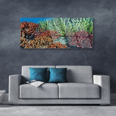 Obraz Szklany Rafa Koralowa Przyroda