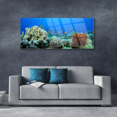 Obraz Szklany Rafa Koralowa Natura