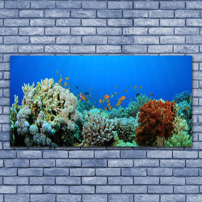 Obraz Szklany Rafa Koralowa Natura