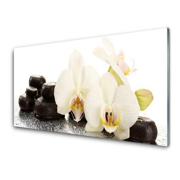 Obraz Szklany Kwiat Biała Orchidea