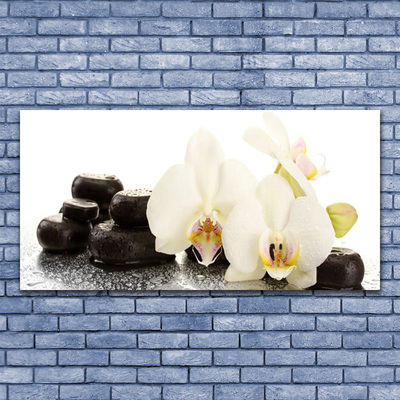 Obraz Szklany Kwiat Biała Orchidea