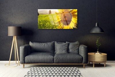 Obraz Szklany Słonecznik Kwiat Roślina