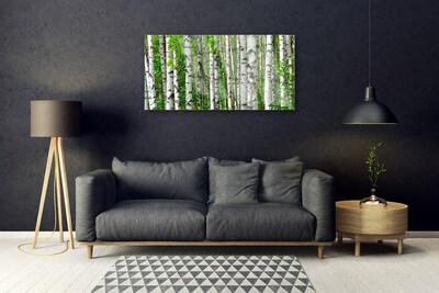 Obraz Szklany Las Roślina Natura Drzewa