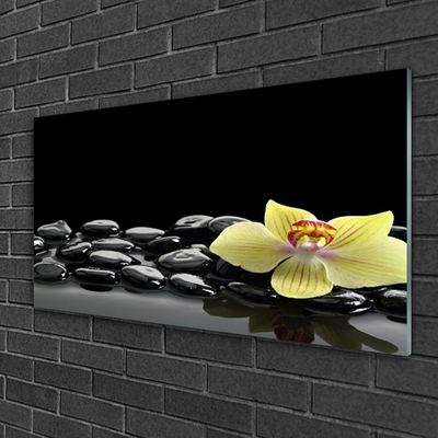 Obraz Szklany Kwiat Kuchnia Czarny