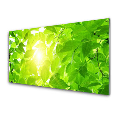 Obraz Szklany Liście Natura Słońce Roślina