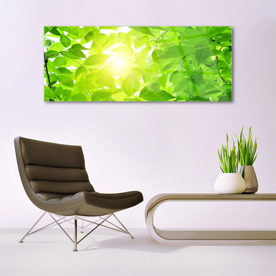 Obraz Szklany Liście Natura Słońce Roślina
