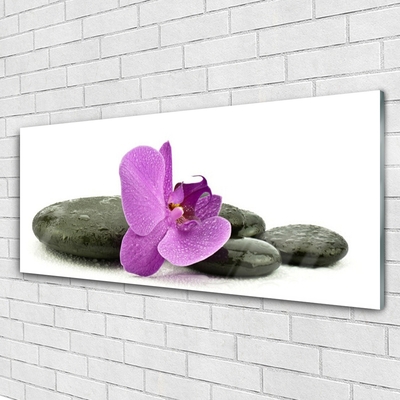 Obraz Szklany Kwiat Orchidea Storczyk