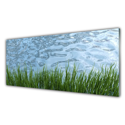 Obraz Szklany Trawa Woda Przyroda