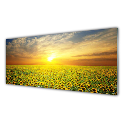Obraz Szklany Słońce Łąka Słoneczniki