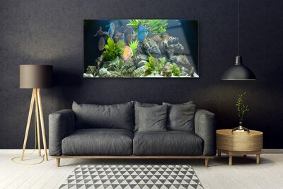 Obraz Szklany Ryba Akwarium Natura