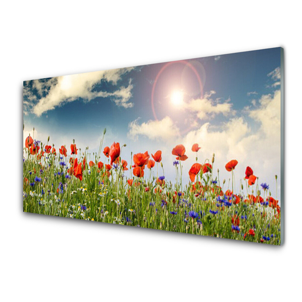 Obraz Szklany Łąka Kwiaty Słońce Natura