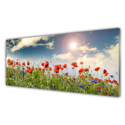 Obraz Szklany Łąka Kwiaty Słońce Natura