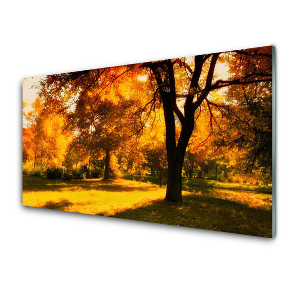 Obraz Szklany Drzewa Jesień Przyroda