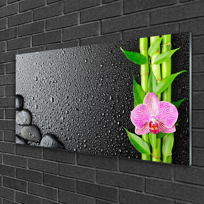 Obraz Szklany Bambus Łodyga Kwiat Roślina