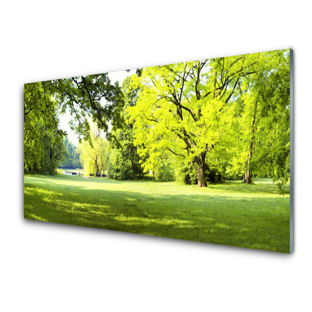Obraz Szklany Trawa Drzewa Park Przyroda