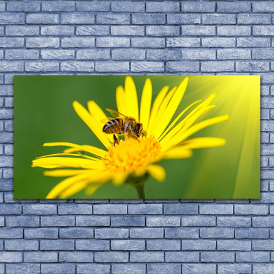 Obraz Szklany Pszczoła Kwiat Przyroda