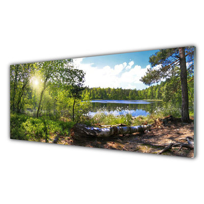 Obraz Szklany Las Drzewa Jezioro Przyroda