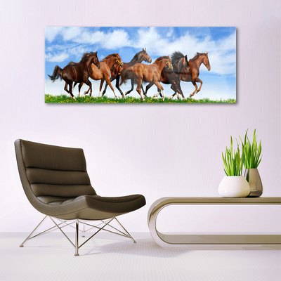 Obraz Szklany Konie w Galopie na Pastwisku
