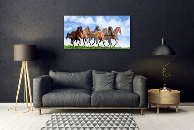 Obraz Szklany Konie w Galopie na Pastwisku