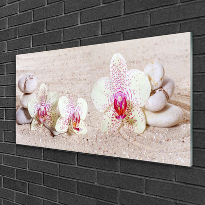 Obraz Szklany Storczyk Orchidea Piasek