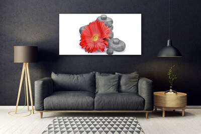 Obraz Szklany Kwiaty Czerwona Gerbera