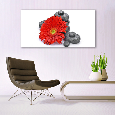 Obraz Szklany Kwiaty Czerwona Gerbera
