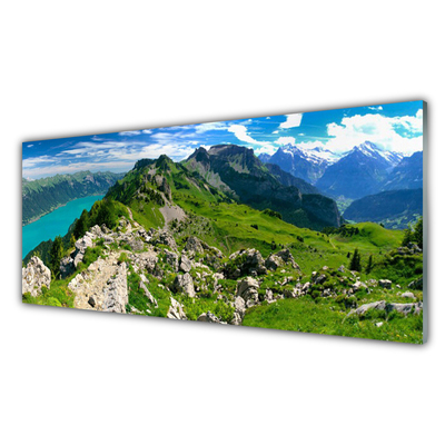 Obraz Szklany Łąka Góry Krajobraz Natura