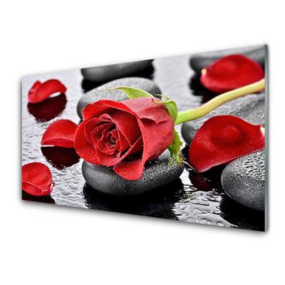 Obraz Szklany Czerwona Róża Kwiat