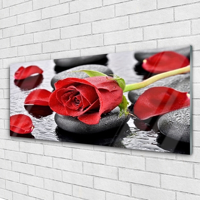 Obraz Szklany Czerwona Róża Kwiat