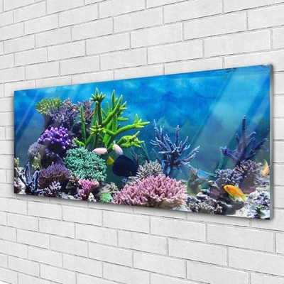 Obraz Szklany Akwarium Rybki Pod Wodą