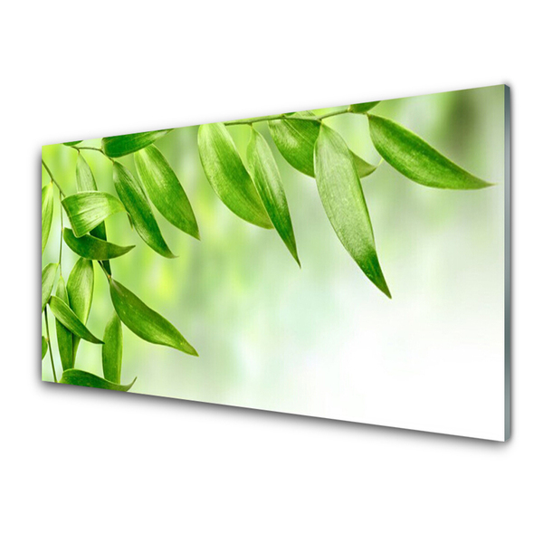 Obraz Szklany Zielone Liście Natura