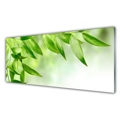 Obraz Szklany Zielone Liście Natura