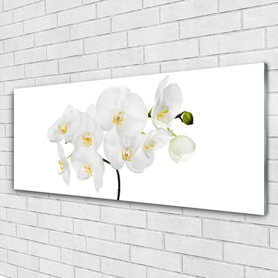 Obraz Szklany Storczyk Biały Kwiaty