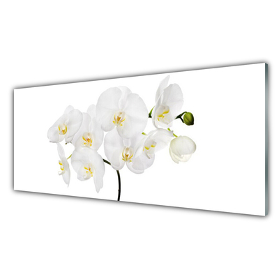 Obraz Szklany Storczyk Biały Kwiaty