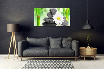Obraz Szklany Bambus Stokrotka Kwiat