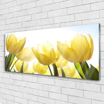 Obraz Szklany Tulipany Kwiaty Promienie
