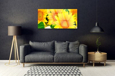 Obraz Szklany Słonecznik Kwiat Natura