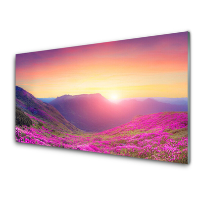 Obraz Szklany Słońce Góry Łąka Natura