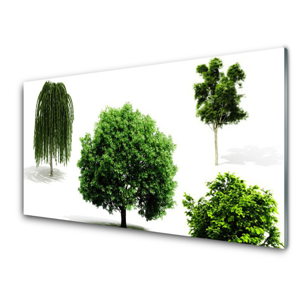 Obraz Szklany Drzewa Natura Przyroda