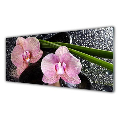 Obraz Szklany Kwiaty Orchidea Storczyk Zen