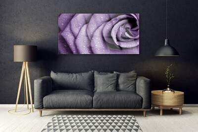 Obraz Szklany Róża Kwiat Roślina