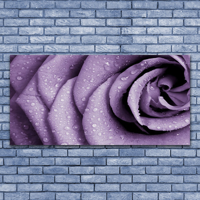 Obraz Szklany Róża Kwiat Roślina