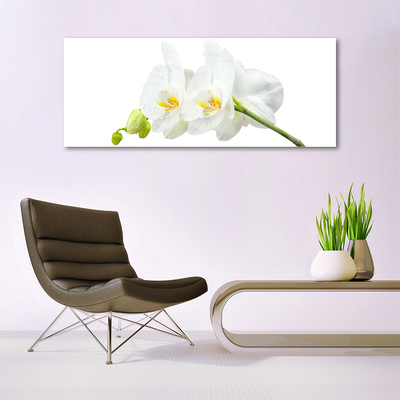Obraz Szklany Płatki Kwiat Biały Storczyk