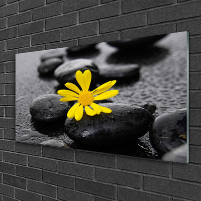 Obraz Szklany Żółty Kwiat Spa Przyroda