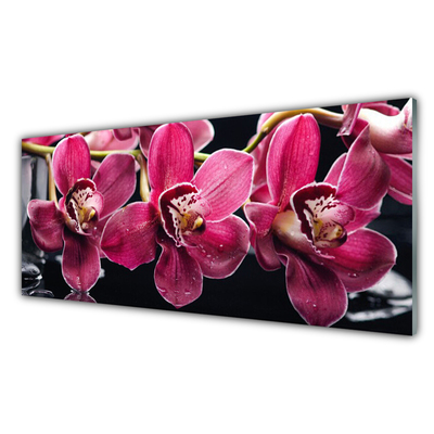 Obraz Szklany Kwiaty Orchidea Pędy Natura